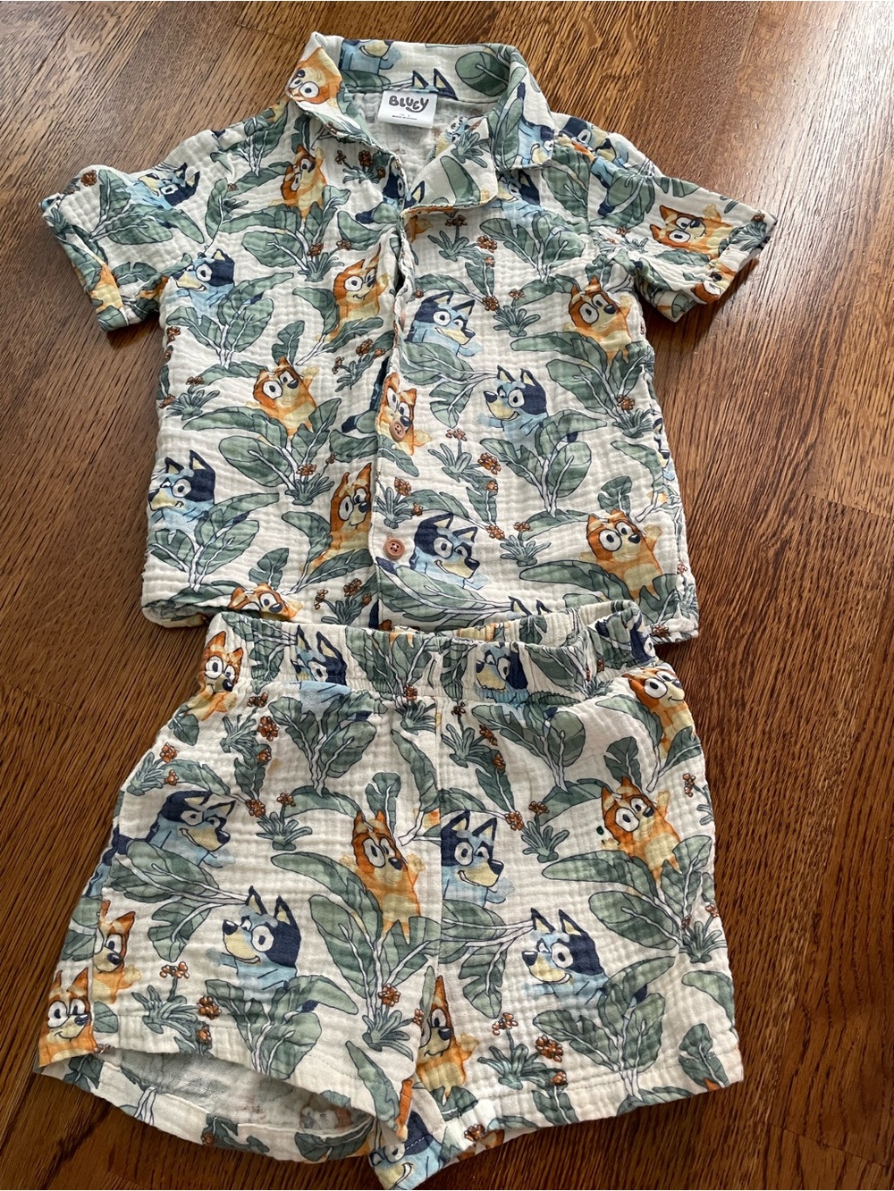 Boys 4T Cat & Jack Tropical Bluey Shirt and Shorts Set